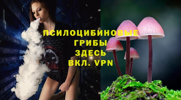 mix Кодинск