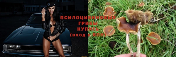 ALPHA PVP Козельск