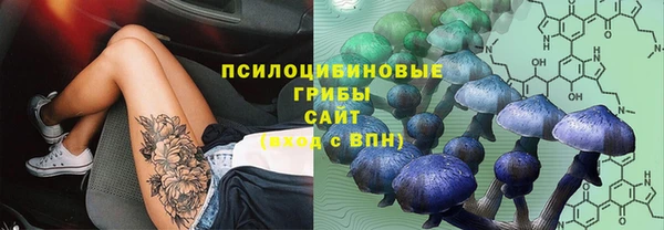 MDMA Козловка