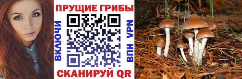 Псилоцибиновые грибы мицелий Купить Верхняя Салда