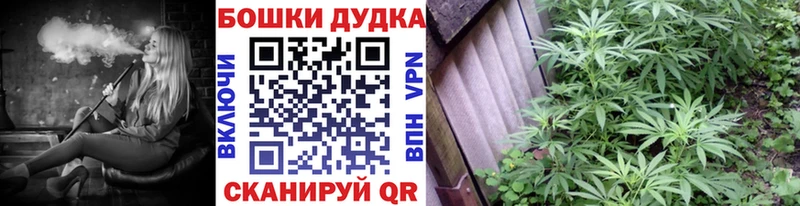 Бошки Шишки SATIVA & INDICA  Купить закладки  Верхняя Салда 