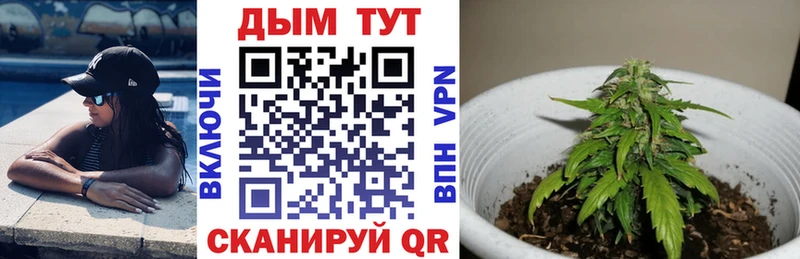 Канабис сатива Верхняя Салда